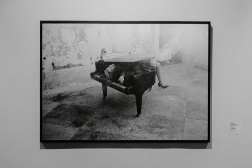 Photos de l'exposition de Renata Litvinova à la galerie Triumph 